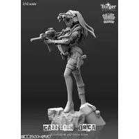 1/12 Scale Model Kit - Trigger Series