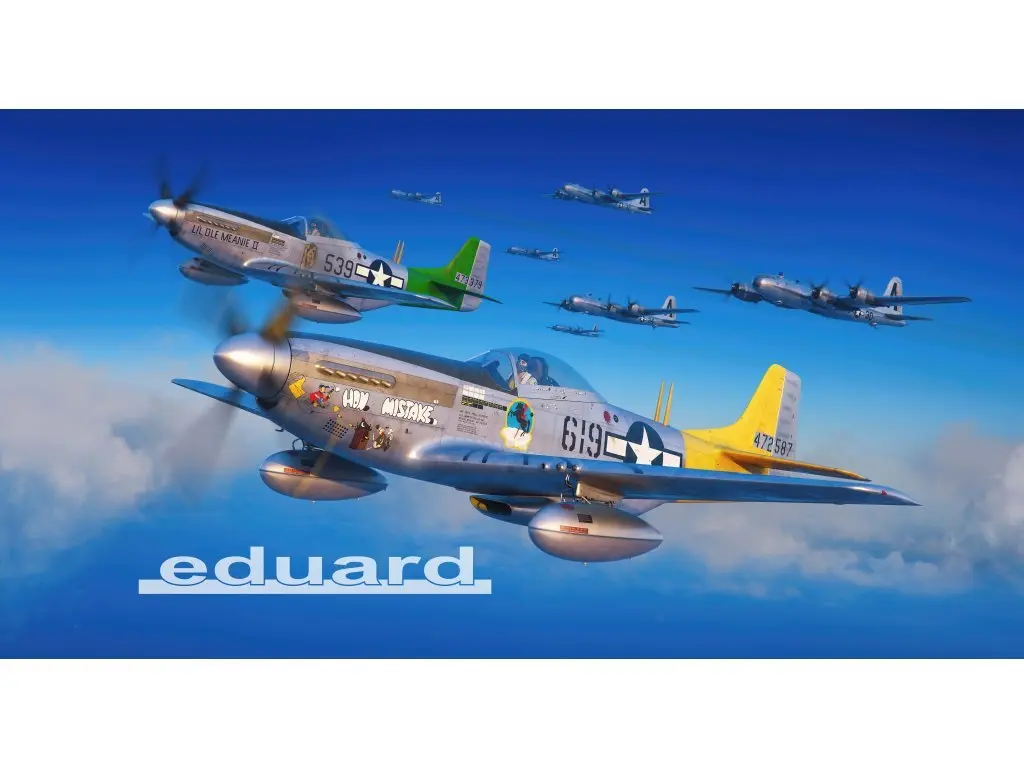 1/72 Scale Model Kit - Fighter aircraft model kits / North American P-51 Mustang