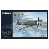 1/48 Scale Model Kit - Fighter aircraft model kits / Hawker Tempest