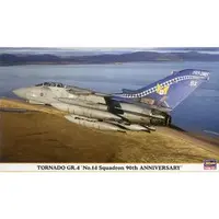 1/72 Scale Model Kit - Fighter aircraft model kits / Panavia Tornado