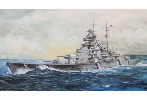 1/700 Scale Model Kit - Battlecruiser Model kits / German battleship Bismarck