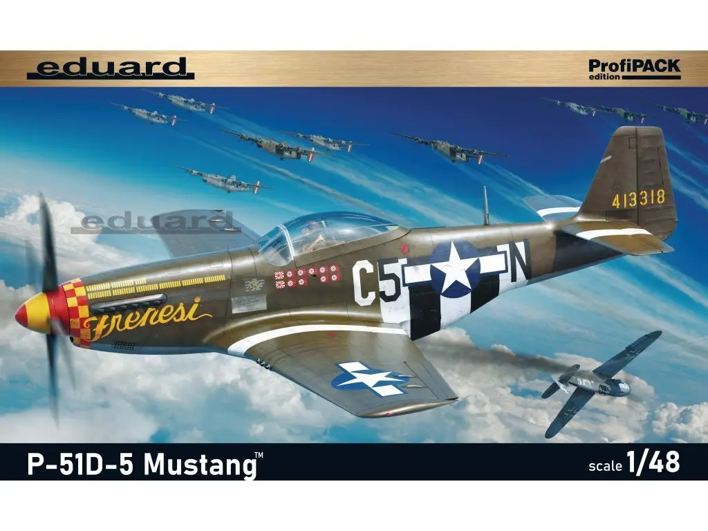 1/48 Scale Model Kit - Fighter aircraft model kits / North American P-51 Mustang