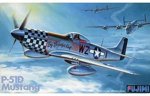 1/48 Scale Model Kit - Fighter aircraft model kits / North American P-51 Mustang
