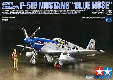 1/48 Scale Model Kit - Fighter aircraft model kits / North American P-51 Mustang