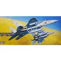 1/72 Scale Model Kit - Fighter aircraft model kits / McDonnell Douglas F-15 Eagle