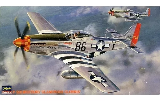 1/48 Scale Model Kit - Fighter aircraft model kits / North American P-51 Mustang