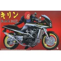 Plastic Model Kit - Kawasaki