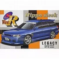 1/24 Scale Model Kit - S package version R series / LEGACY
