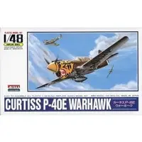 1/48 Scale Model Kit - Fighter aircraft model kits / Curtiss P-40 Warhawk