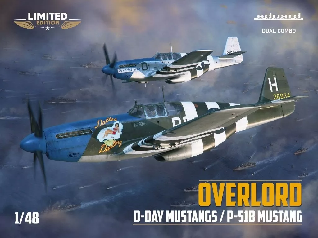 1/48 Scale Model Kit - Fighter aircraft model kits / North American P-51 Mustang