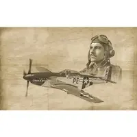 1/72 Scale Model Kit - Fighter aircraft model kits / North American P-51 Mustang