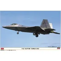 1/48 Scale Model Kit - Fighter aircraft model kits / F-22 Raptor