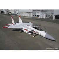 1/72 Scale Model Kit - Japan Self-Defense Forces / McDonnell Douglas F-15 Eagle