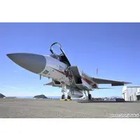 1/72 Scale Model Kit - Japan Self-Defense Forces / McDonnell Douglas F-15 Eagle