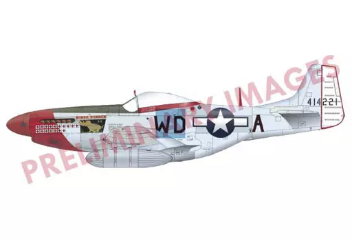 1/48 Scale Model Kit - Fighter aircraft model kits / North American P-51 Mustang