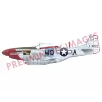 1/48 Scale Model Kit - Fighter aircraft model kits / North American P-51 Mustang