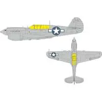 1/48 Scale Model Kit - Fighter aircraft model kits / Curtiss P-40 Warhawk