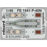 1/48 Scale Model Kit - Fighter aircraft model kits / Curtiss P-40 Warhawk