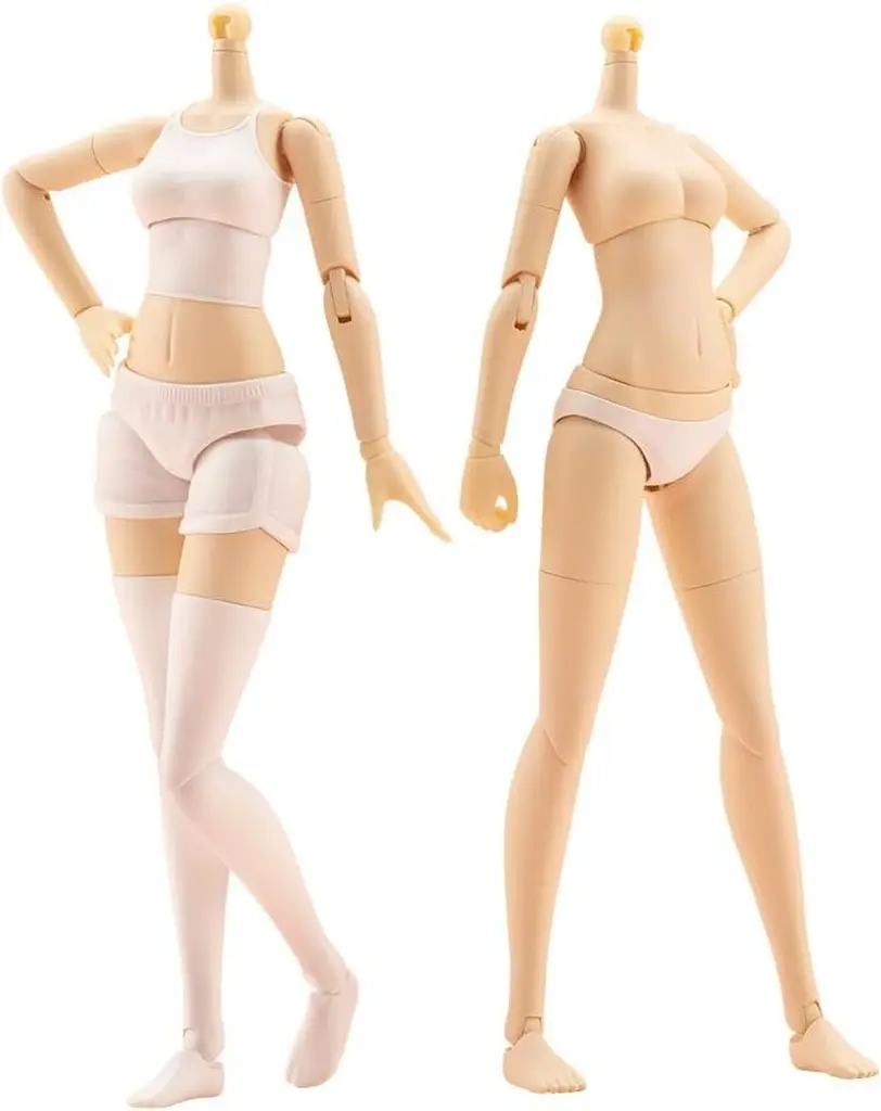 Tiny Closet - MEGAMI DEVICE / Koyomi Takanashi