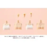 Tiny Closet - MEGAMI DEVICE / Koyomi Takanashi