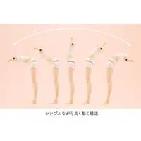 Tiny Closet - MEGAMI DEVICE / Koyomi Takanashi