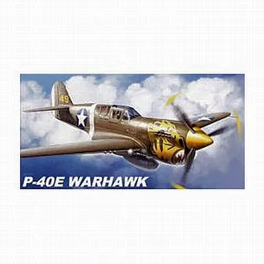 1/32 Scale Model Kit - Fighter aircraft model kits / Curtiss P-40 Warhawk