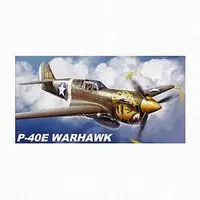 1/32 Scale Model Kit - Fighter aircraft model kits / Curtiss P-40 Warhawk