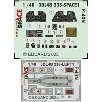 1/48 Scale Model Kit - Fighter aircraft model kits / Curtiss P-40 Warhawk