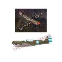 1/48 Scale Model Kit - Fighter aircraft model kits / Curtiss P-40 Warhawk