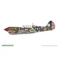 1/48 Scale Model Kit - Fighter aircraft model kits / Curtiss P-40 Warhawk