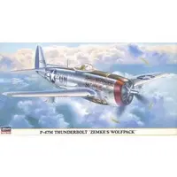 1/48 Scale Model Kit - Fighter aircraft model kits / P-47 Thunderbolt