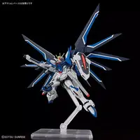 Gundam Models - MOBILE SUIT GUNDAM SEED / Freedom Gundam