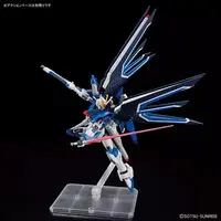 Gundam Models - MOBILE SUIT GUNDAM SEED / Freedom Gundam