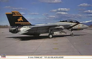 1/48 Scale Model Kit - Fighter aircraft model kits / F-14