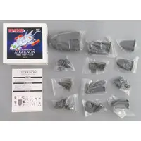 Resin cast kit - Cosmic Fantasy