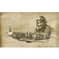 1/72 Scale Model Kit - Fighter aircraft model kits / Supermarine Spitfire