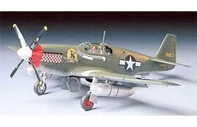 1/48 Scale Model Kit - Fighter aircraft model kits / North American P-51 Mustang
