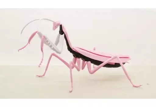 Plastic Model Kit - Rebuild of Evangelion / Tenodera aridifolia