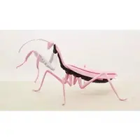 Plastic Model Kit - Rebuild of Evangelion / Tenodera aridifolia