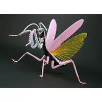 Plastic Model Kit - Rebuild of Evangelion / Tenodera aridifolia