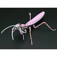 Plastic Model Kit - Rebuild of Evangelion / Tenodera aridifolia