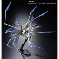 Gundam Models - MOBILE SUIT GUNDAM SEED / Strike Freedom Gundam