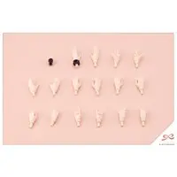 Plastic Model Kit - SOUSAI SHOJO TEIEN / Ritsuka Saeki & Emma Koishikawa & Kuon Yakushiji & Eimi Nijimura