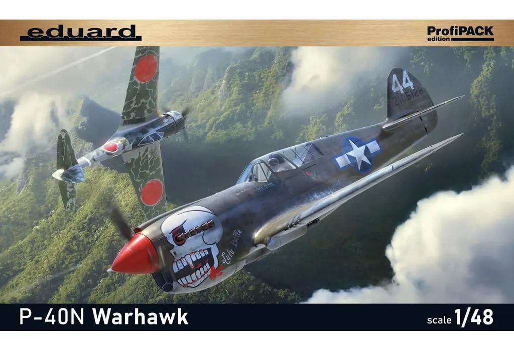 1/48 Scale Model Kit - Fighter aircraft model kits / Curtiss P-40 Warhawk