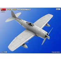 1/48 Scale Model Kit - Fighter aircraft model kits / P-47 Thunderbolt