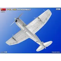 1/48 Scale Model Kit - Fighter aircraft model kits / P-47 Thunderbolt