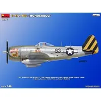 1/48 Scale Model Kit - Fighter aircraft model kits / P-47 Thunderbolt