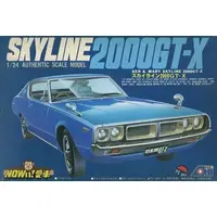 1/24 Scale Model Kit - NISSAN / SKYLINE