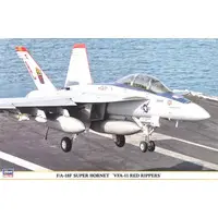 1/48 Scale Model Kit - Fighter aircraft model kits / F/A-18F Super Hornet