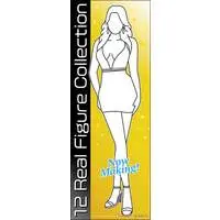 1/12 Scale Model Kit - Real Figure Collection